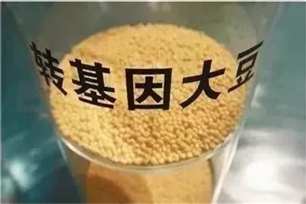 岳阳品牌一元豆腐干生产厂家